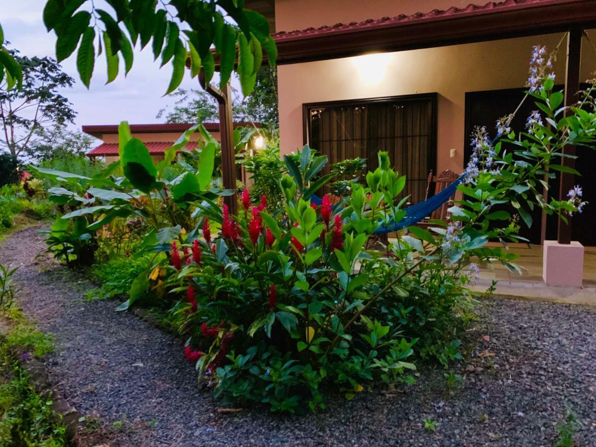 Quadruple Room with Terrace